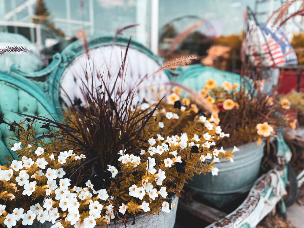 Delicate white flowers in vintage repurposed sofa at Junque Decor Floral and Greenhouse